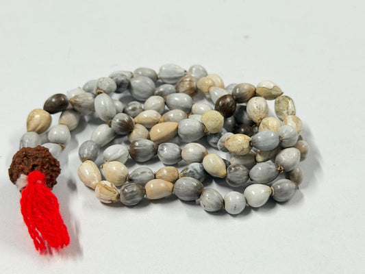 Vejanti Mala (Vaijanti Mala)
