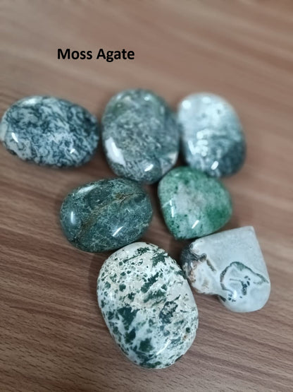 MOSS AGATE PALM STONE